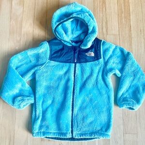 The North Face Kids Turquoise Fleece OSO Hoodie